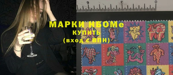 ALPHA PVP Ельня