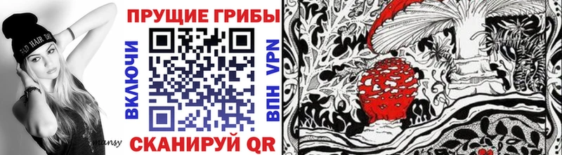 Купить где  Ивантеевка  Псилоцибиновые грибы Magic Shrooms 